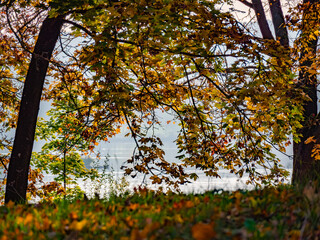 Einzigartige Herbststimmung in der Natur im Donaupark bei Sonnenschein