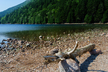 Acadia National Park