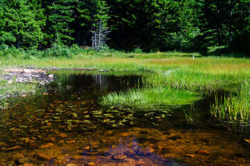 Acadia National Park