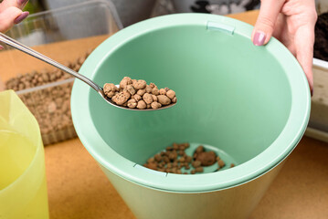 Pour expanded clay into a flower pot before replanting the plant.