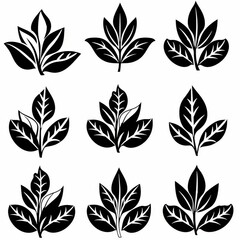 Fototapeta premium Croton (Codiaeum variegatum) Pot Plant Icon Set, Codiaeum Plant Flat Design, Abstract Croton Symbols