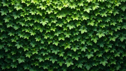 Vibrant green ivy leaves create intricate pattern