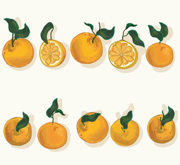 Set of oranges  citrus fruit in different cuts slice different shapes of oranges fruit  illustration isolated on white background