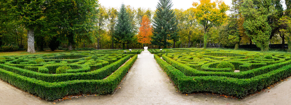 Trimmed boxwood bushes in an old garden	