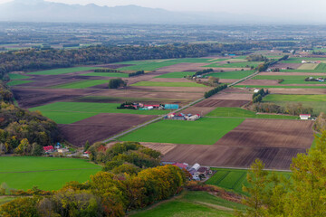 Fototapeta premium 新嵐山展望台から見た風景