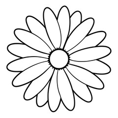 white flower on white background