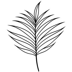 Obraz premium black and white feather
