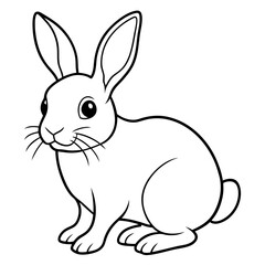 Obraz premium white rabbit on white