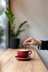 Enjoying a warm cup of coffee in a cozy café with indoor plants and natural light in the afternoon