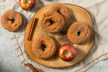 Homemade Sweet Apple Cider Donuts
