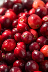 Organic Raw Red Cranberries