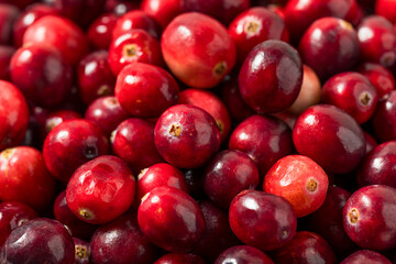 Organic Raw Red Cranberries