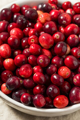 Organic Raw Red Cranberries