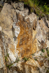 rock in the forest