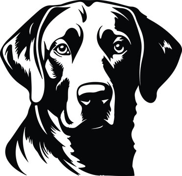 Black silhouette of Labrador retriever head