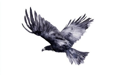 Naklejka premium Black bird in flight, white isolate background