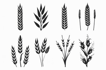 Wheat icon, rye ears sign, barley emblem, oats, cereals symbol, wheat ear, seeds, corns set