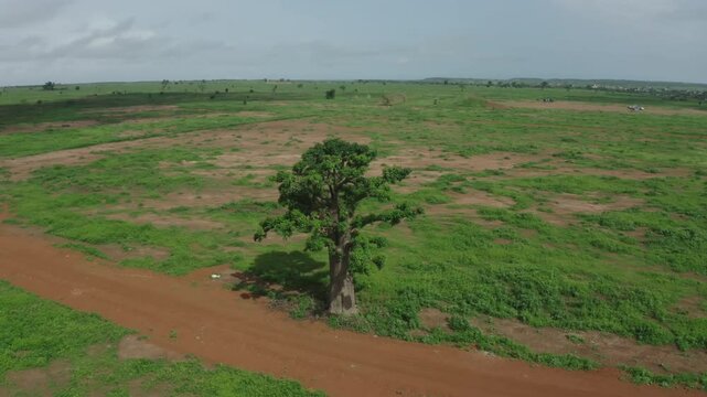  Aerial video over the green open landscapes of Thies Senegal