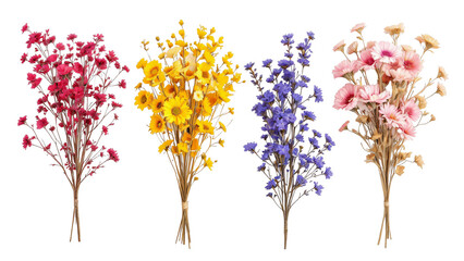 Fototapeta premium bouquets of flowers isolated on white background