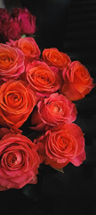 Red Roses flowers backgrounds, bouquet of a lot of roses