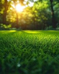 Naklejka premium Close-up of lush green grass in sunlight, creating a serene and vibrant nature scene. Sun rays filter through leaves, enhancing the natural beauty.