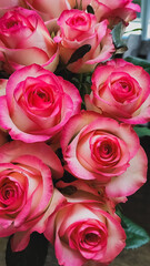 A Gorgeous and Beautiful Bouquet of Pink Roses Perfect for Every Single Occasion