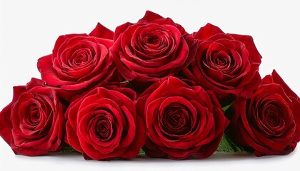 bouquet of red roses