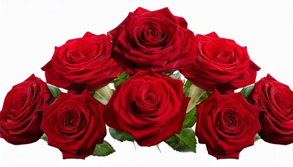 Obraz premium bouquet of red roses