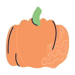 Vector image of a pumpkin icon with a white background