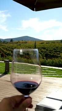 A shot of wine in the field, A photo of a glass with red wine in it, set in the field, The view of the landscape is behind the glass, A glass of wine in the vineyard, Sipping wine in the vineyard