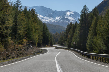 Fototapeta premium Long curved asphalt road running along the mountain pass. Crash barrier are along the road. Golden autumn roadscape with yellow trees and wild nature. Snowy peaks in the distance