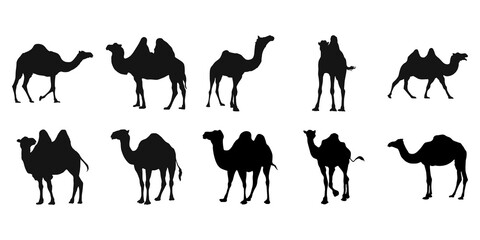 Camel Silhouette Set
