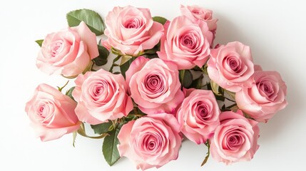 Fototapeta premium Soft Pink Roses Arrangement on White Background