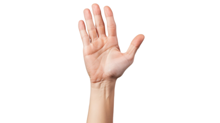Open hand gesture, white isolate background