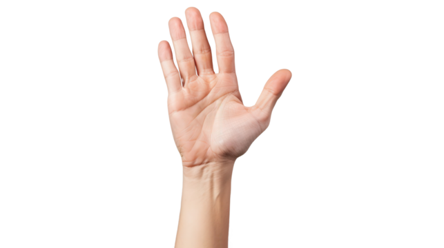 Open hand gesture, white isolate background