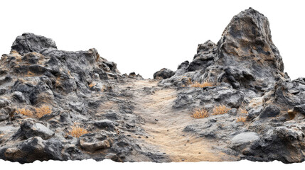 Rocky terrain with dry grass on a clear background.