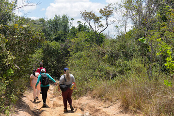Fototapeta premium hiking in the woods, hiking in the forest, walking in the forest, walking in the park, people walking on a path, hikers, trails in Brazil, brazilian forest, sunny day, ecotourism