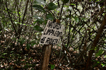 signs in the forest, signposts, nature preservation signs, forest, 