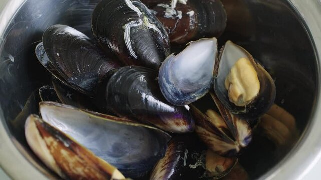 mussels food on a plate