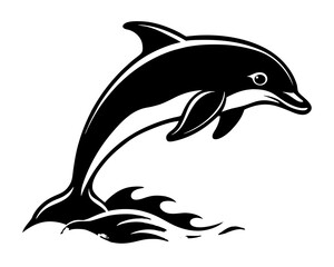 Beautiful bottlenose dolphin jumping out of the blue water