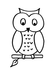 owl on white background, illustration, cartoon, vector