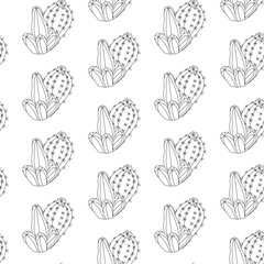 cactus pattern 13.10.24-27