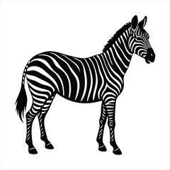 Zebra silhouette vector