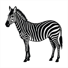 Zebra silhouette vector