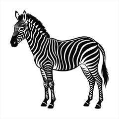 Obraz premium Zebra silhouette vector