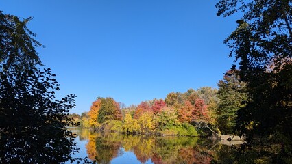 autumn in the park