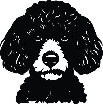 recommend clip art: Black silhouette of poodle head