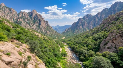 Obraz premium Majestic Rocky Mountain Valley with Flowing River and Lush Green Landscape