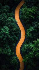 Curved wooden path cutting through dense green forest