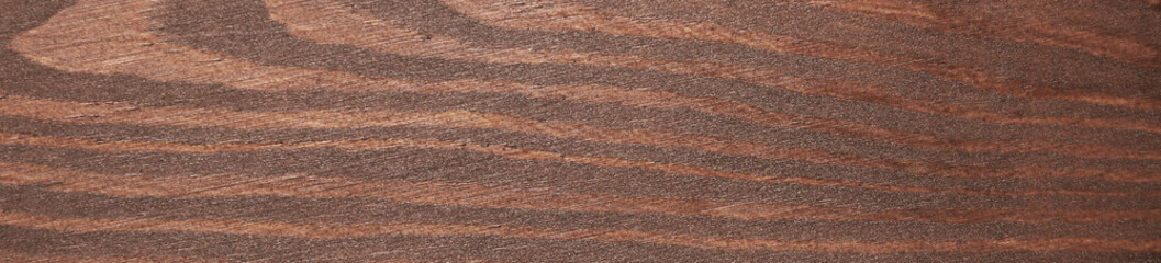 Texture of walnut wood surface, closeup. Banner design